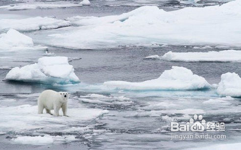 到两极拍摄你需要哪些的装备