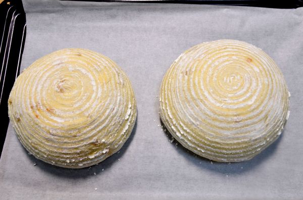 全麦橙香软欧包