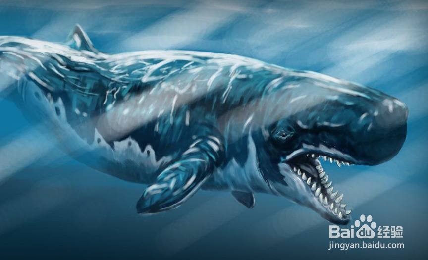 恐龙时代有鲨鱼吗?