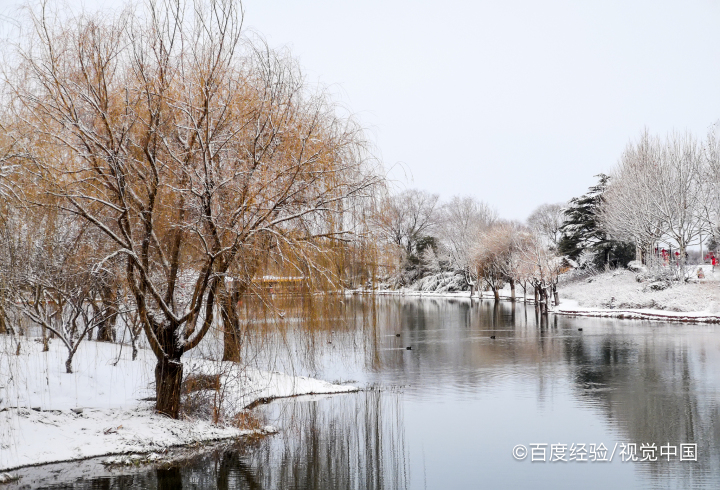连云港连岛景区攻略