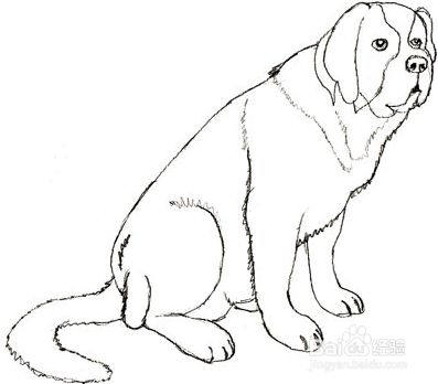 如何画一只狗