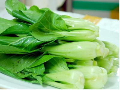 南方的青菜是什么菜