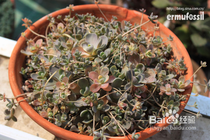 2012年6月23日 记录