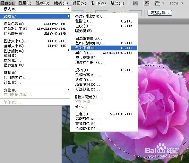 ps淘宝美工教程：[4]局部高光调制唯美图片