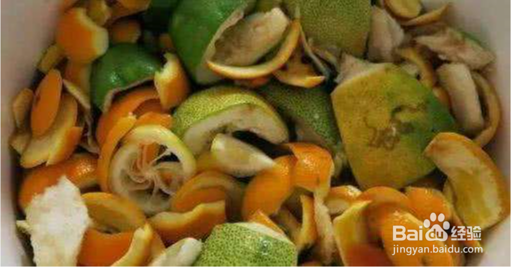 几种生活垃圾变身成花肥