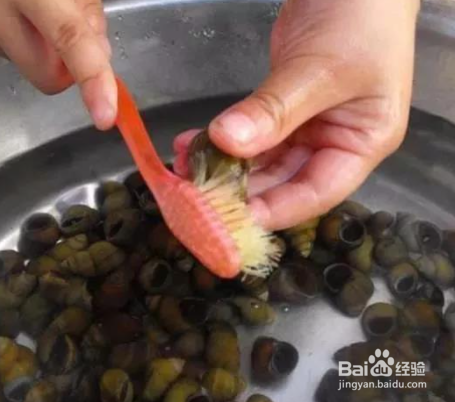 田螺外壳绿藻怎么去除