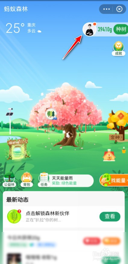 蚂蚁森林往年碳减排量怎么看