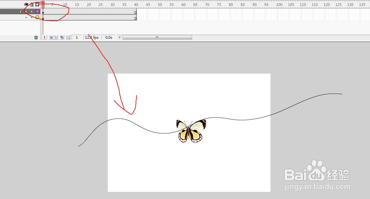 flash制作蝴蝶按照引导线进行飞翔的动画