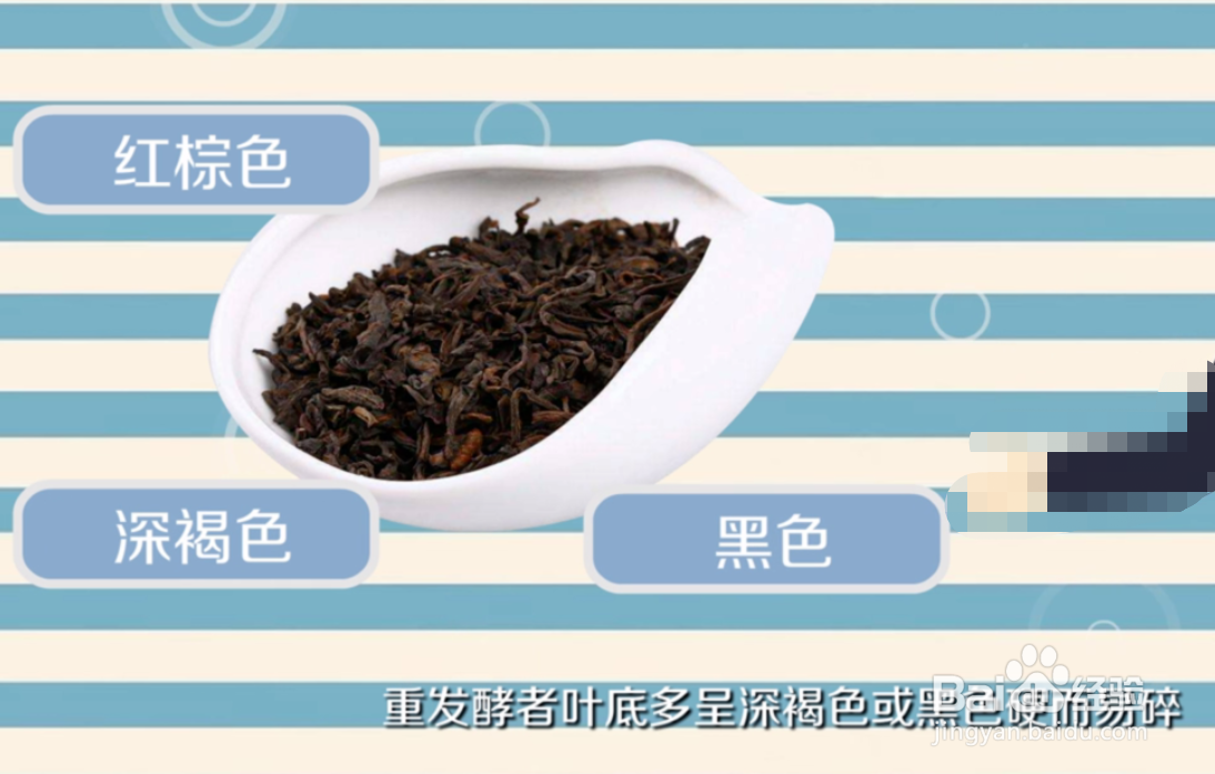 生普洱和熟普洱有什么区别