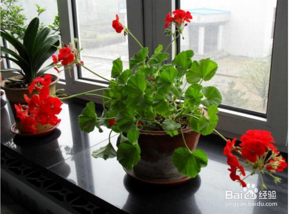 日常缓解压力的有效办法