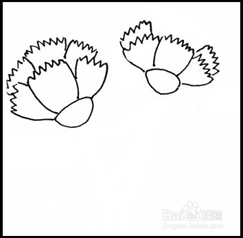 怎样画简笔画（花卉）：[10]康乃馨