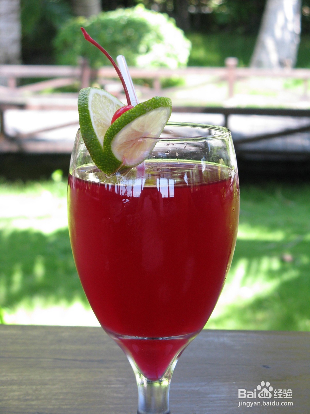 仙人掌果怎么吃