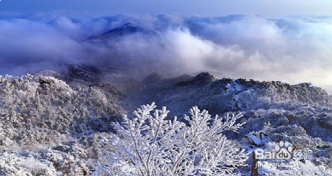 鬼斧神工般的精雕细琢 给你别样的冬季之美