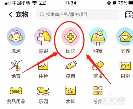 怎么判断猫咪冷不冷