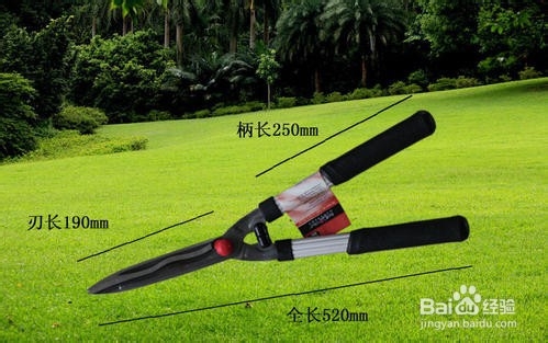 大平剪的使用和养护