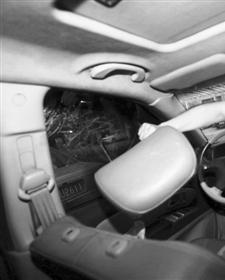 汽车头枕是这样破窗