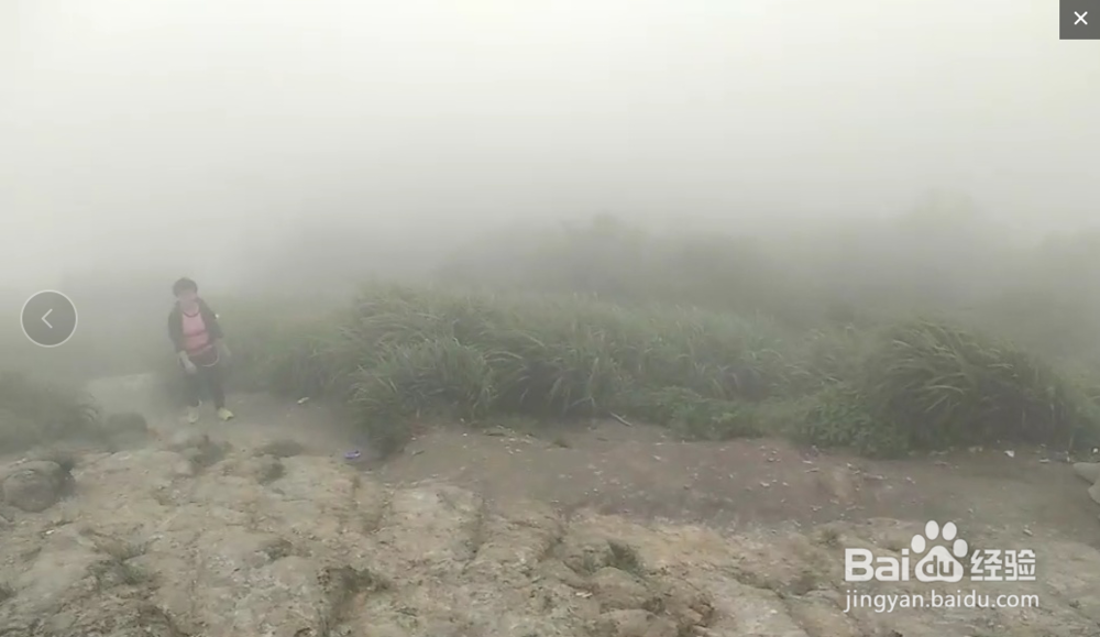 深圳大梧桐游玩路线