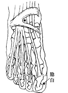 百病刮痧：[38]崩漏的刮痧疗法