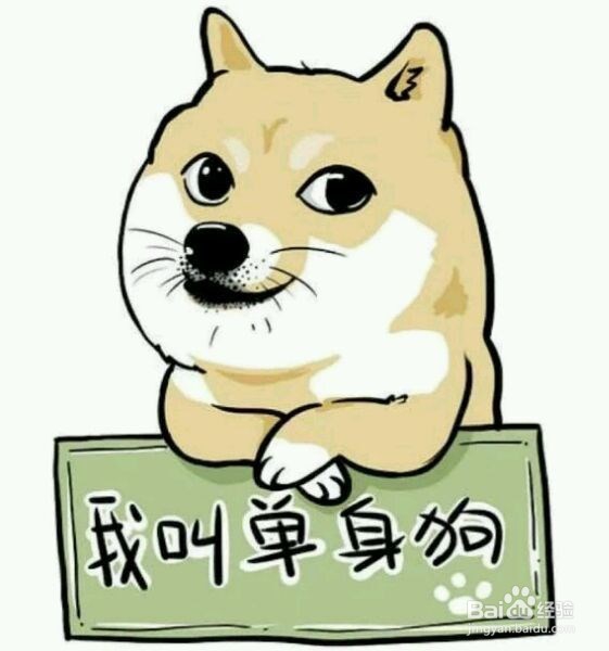 家庭养宠物需要注意的地方