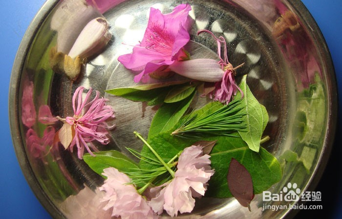 植物艺术画拼装漂亮的深林公主