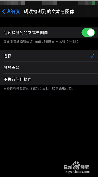 苹果手机怎么设置旁白朗读检测到的文本与图像