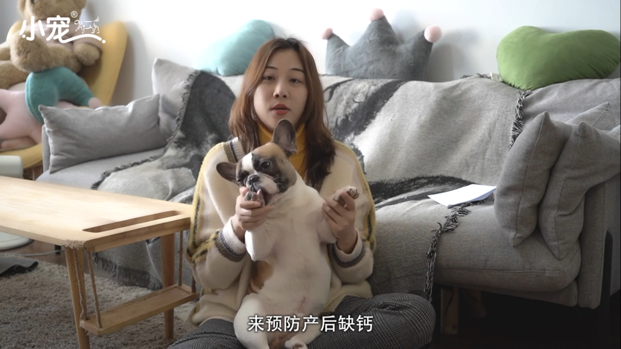 狗狗如何正确补钙