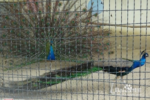 韩国光州牛峙公园旅游攻略