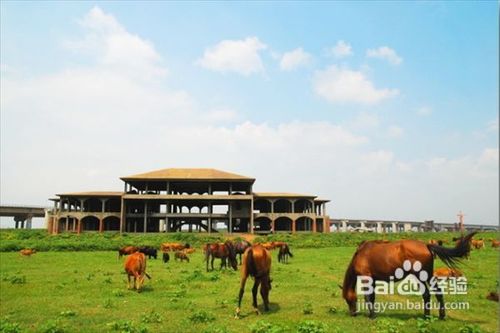 长沙周边经典露营地汇总