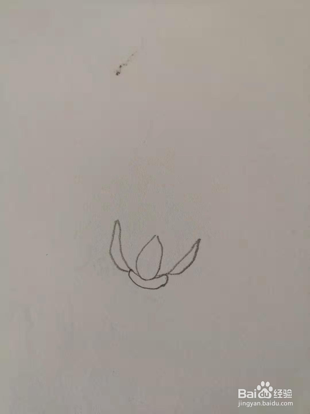如何画玫瑰花简笔画