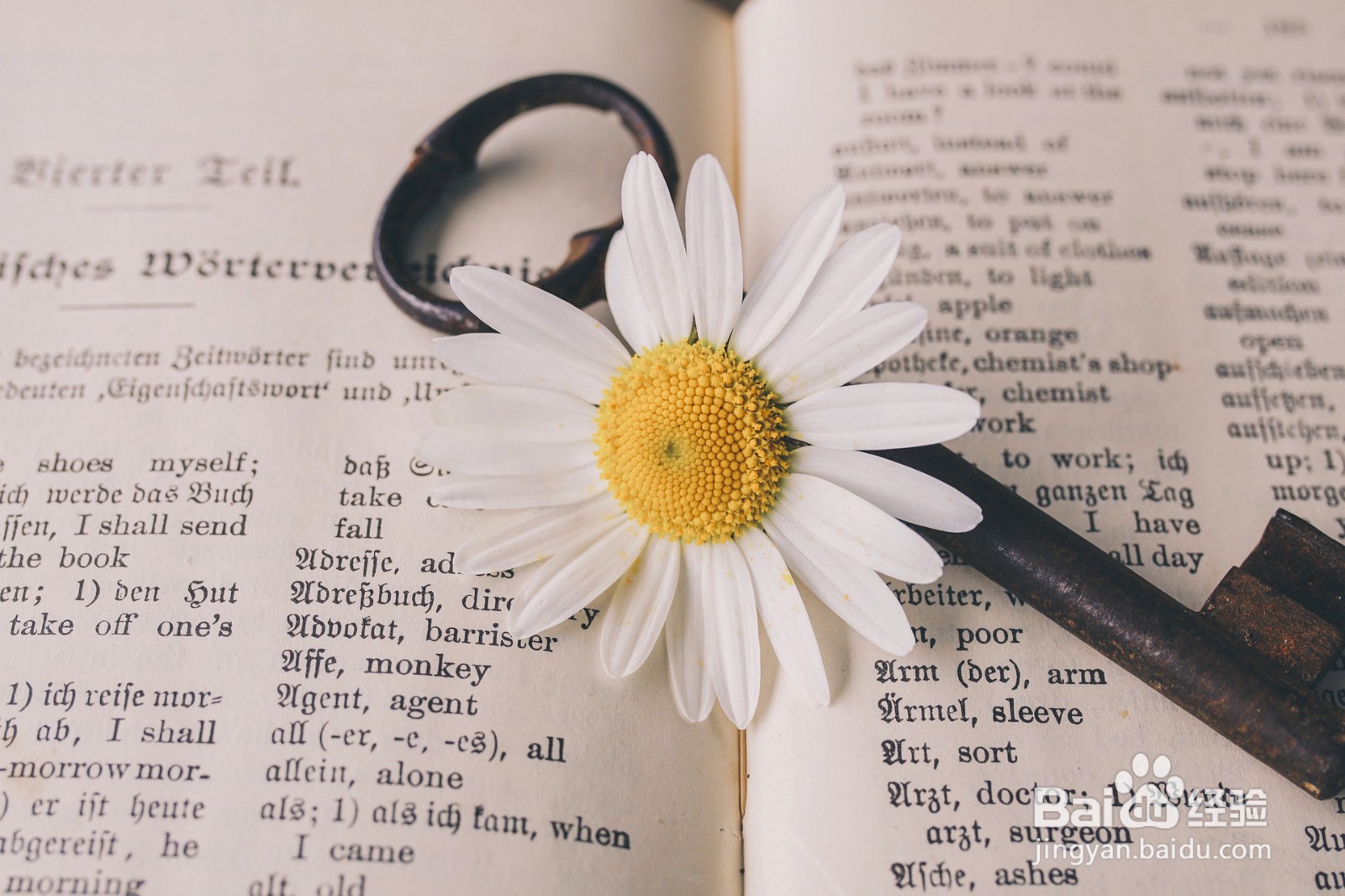 不用谢不客气的6种用法