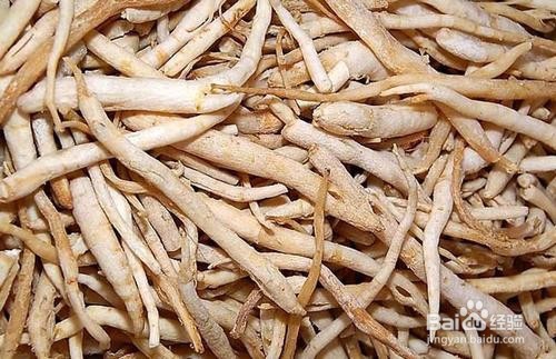 怎么辨别北沙参的好坏？【芸豆健康药材课堂】