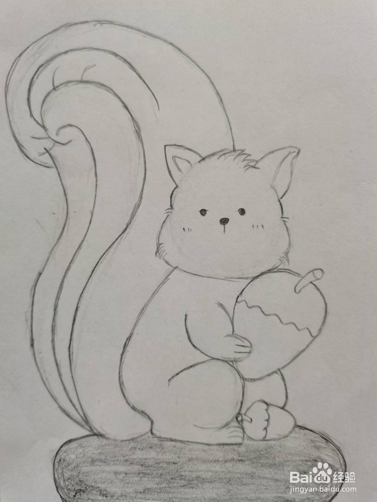 大尾巴鼠怎么画