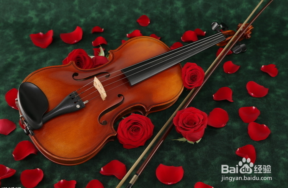 小提琴好学吗?