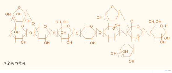 α1，4糖苷键与β1，4糖苷键区别