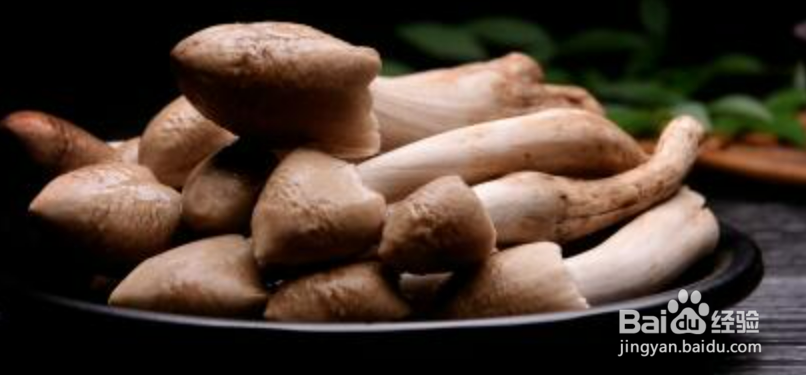 鸡枞种植技术方法