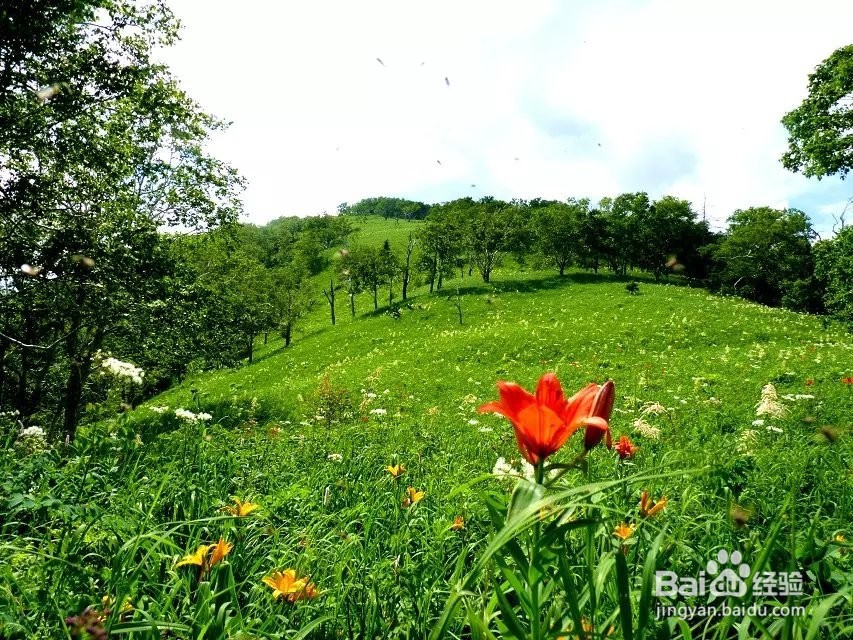 野游兴安之巅攻略