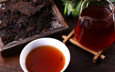 生普洱与熟普洱哪个更好