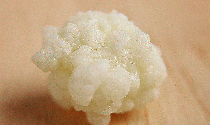 雪莲菌可以直接吃吗