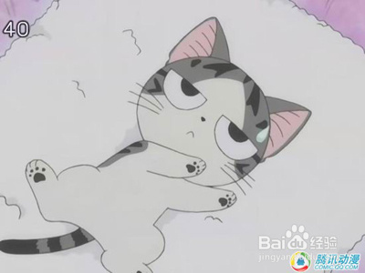 盘点动漫中的十大名猫