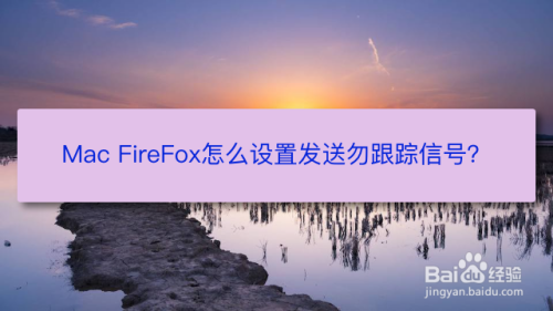 Mac FireFox怎么设置发送勿跟踪信号？