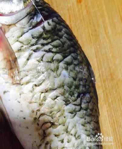 小南瓜鲫鱼汤--美食教程