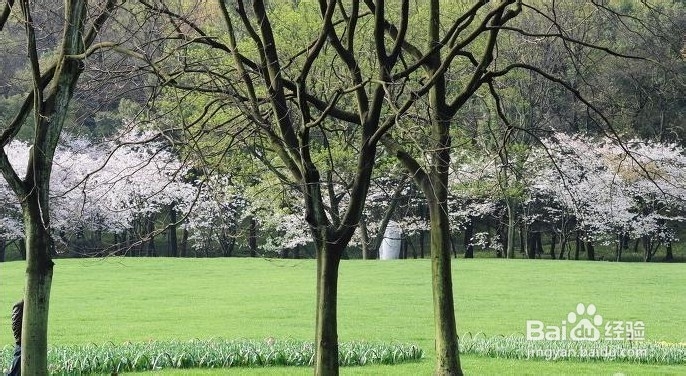 挖掘国内那些好玩的免费景点--【杭州】