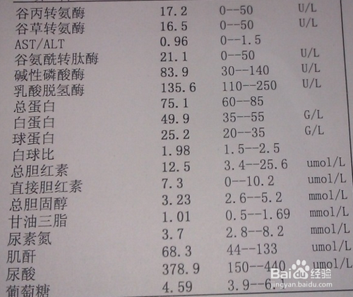 乙肝两对半怎么看