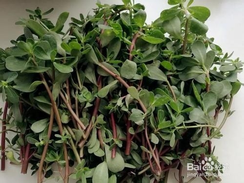 孕期早期不要吃的一些家常菜