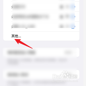 苹果手机怎样加入其他网络