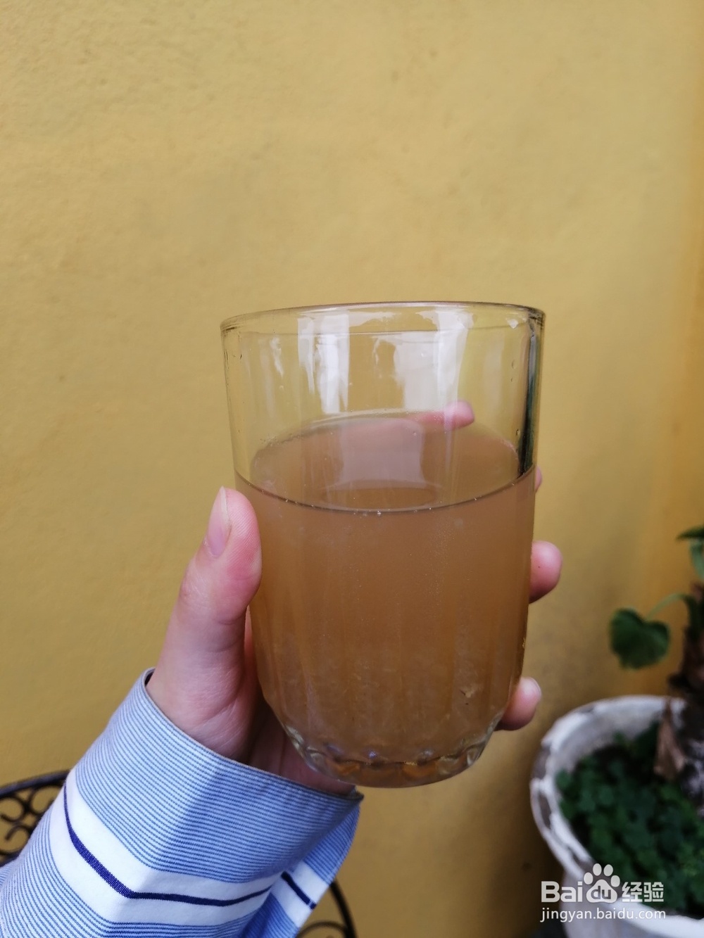 玻利维亚塔里哈市旅游攻略:红酒文化之旅