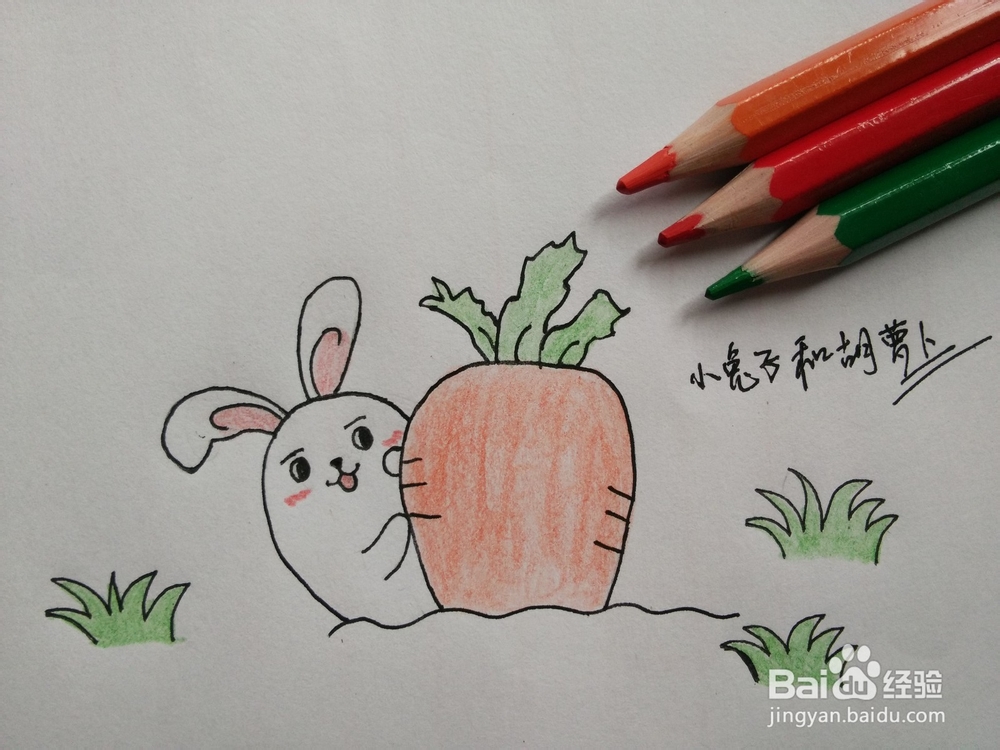 简笔画——怎么画小兔子和胡萝卜