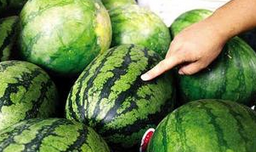 夏季巧选有籽和无籽西瓜的方法