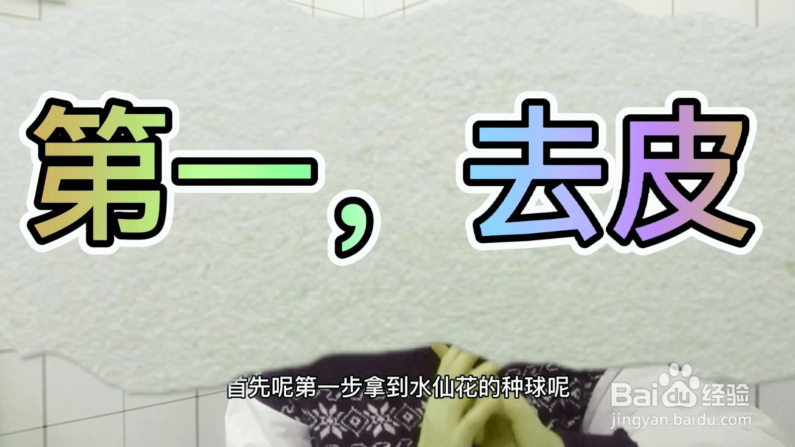 水仙花怎么种植方法？
