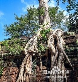 柬埔寨跟团旅游攻略